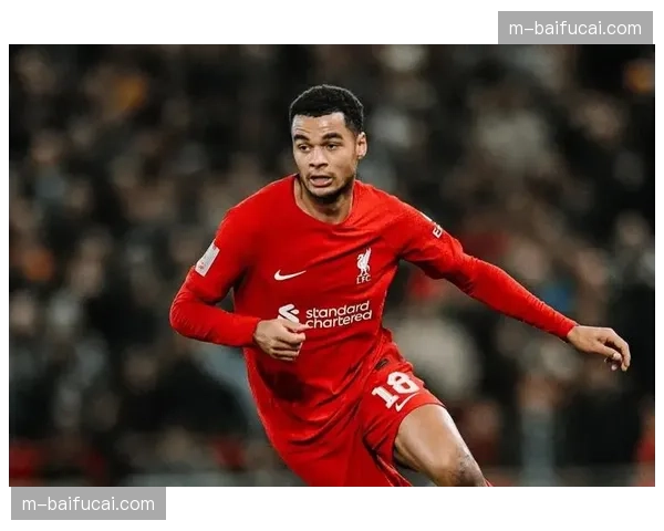 利物浦4-2逆转击败伯恩茅斯，加克波替补登场传射建功